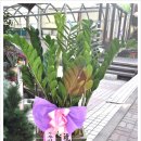 수복한의원 이미지