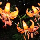 우면산3-22 이미지