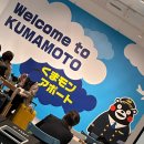 T G C ✈️ 이미지