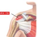 간석성모의원 이미지