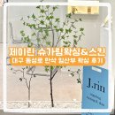 제이린슈가링왁싱