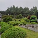 남산공원 시민회관 이미지