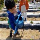 참유치원 이미지