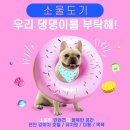 댕댕이를 부탁해 이미지