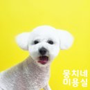 뭉치네 미용실 이미지