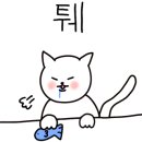 언커버안경원 이미지