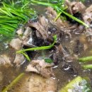 노곡농장 이미지