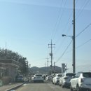 계양중학교 내 | 인천 계양 딸기체험 딸기농장 고씨농원 가는 법 🍓 어른이 해도 재밌다