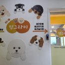 멍그라미 이미지