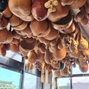 안동식당 | 예끼마을 대풍식당 후기 ㅣ 안동 아이랑 함께 가기 좋은 곳