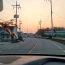 청평돼지불백 이미지