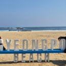 지에스(GS)25경포호수점 이미지