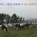 양천목장 이미지