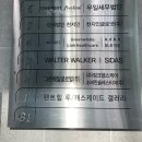 월터워커시다스