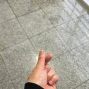 재유