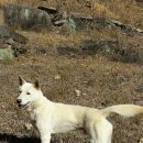 아들축산 이미지