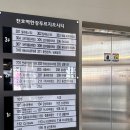 천호동 미용실 추천 살롱드온 젤리펌 다온 원장님 후기