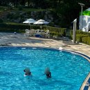 지에스(GS)당구장 이미지