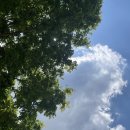 아가랑 엄마(아빠)랑 커플 요가 이미지