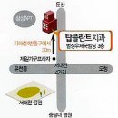 탑플란트치과 이미지