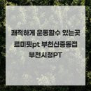 르미핏 이미지
