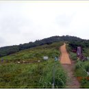 김해화원 이미지