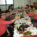 야생화답사 이미지