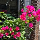 김병수내과의원 이미지