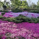 (주)동산유지 이미지
