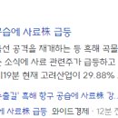 에스엔씨컴퍼니 이미지