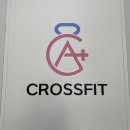 크로스핏 에이플러스 이미지