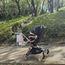 에이블 코지샤인 트라이크(휴대용 유모차) 사용 후기