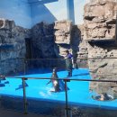 한국해양수조공사 이미지