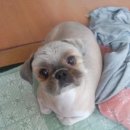 신림중학교 이미지