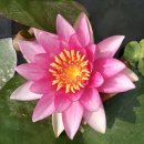 수성그린마트 이미지