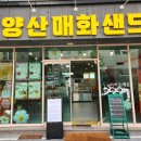 양산매화샌드