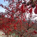 월악휴게소 - 제천시 월악산로4길 12 | 월악휴게소