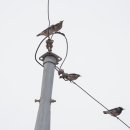 부리보건지소 이미지