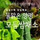 믿음야채 - 안양시 동안구 경수대로 585-8 | 믿음야채