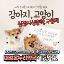 지사 온누리 약국 이미지