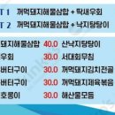 낭만접시 이미지