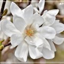 목련경로당 이미지