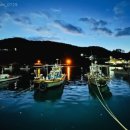 볼락 밤낚시 체험 이미지