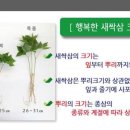 날새농장 네이버블로그