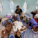 고라농장 이미지