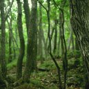 무념(無念) 이미지