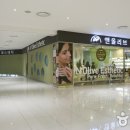 올리브 에스테틱