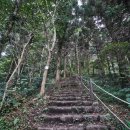 저지오름 이미지