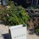 명월다방 네이버블로그