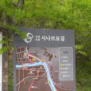 2019.4.21(일) 전북 전주 국립무형유산원 근처 승암마을 돌담길 산책기 이미지